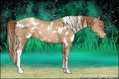 Horse Color:White Spotted Liver Chestnut Pearl 