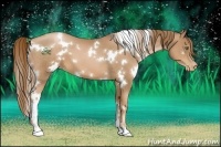 Horse Color:White Spotted Liver Chestnut Pearl