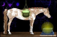 Horse Color:White Spotted Liver Chestnut Pearl 