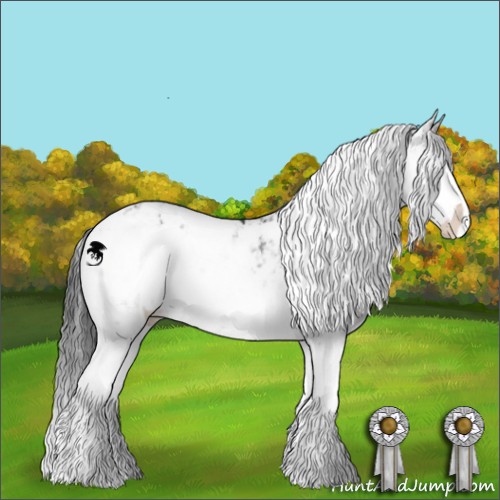 Horse Color:Grullo Sabino Brindle 