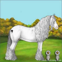 Horse Color:Grullo Sabino Brindle 