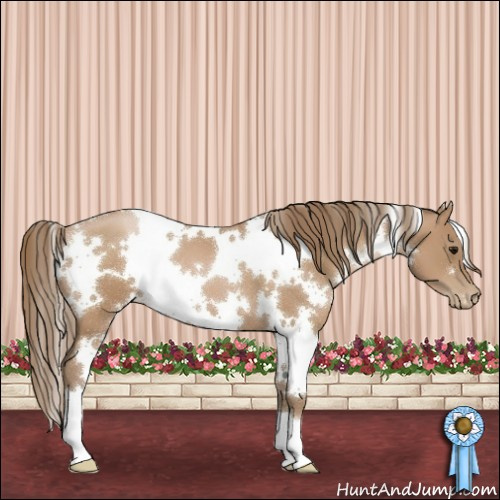 Horse Color:White Spotted Black Pearl 