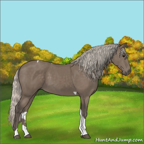 Horse Color:Silver Black Tobiano