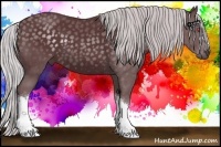 Horse Color:Chocolate Silver Black Chinchilla 