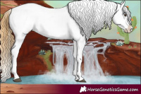 Horse Color:Buckskin Dun Blanket Rabicano  and Smoky Grullo Sabino Blanket 