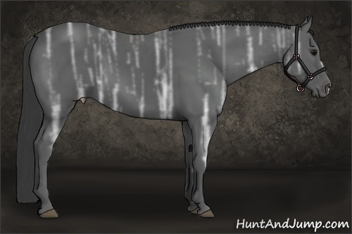 Horse Color:Black Ice 
