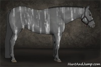Horse Color:Black Ice 