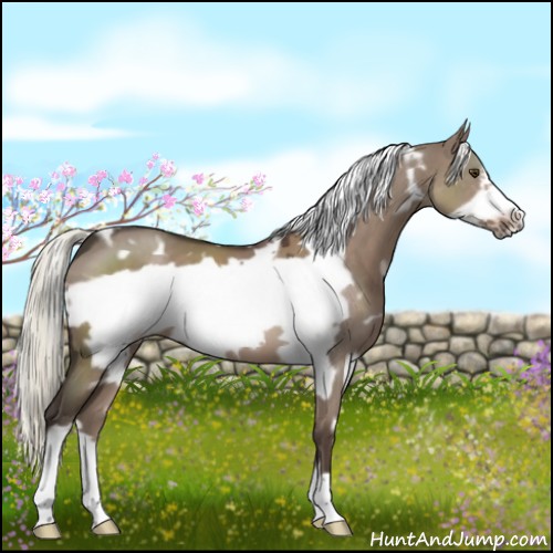 Horse Color:White Spotted Liver Red Dun Frame