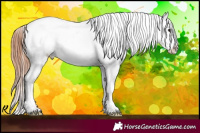 Horse Color:Brown Appaloosa