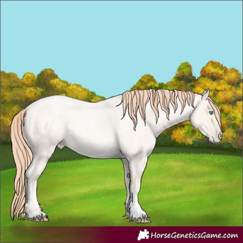Horse Color:Amber Cream Champagne Roan Pearl