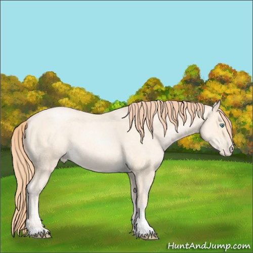 Horse Color:Amber Cream Champagne Roan Pearl 