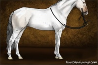 Horse Color:Brown Dun Tobiano Rabicano