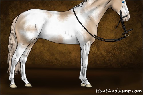 Horse Color:Chocolate Palomino Pearl Sabino Tobiano Frame Rabicano 