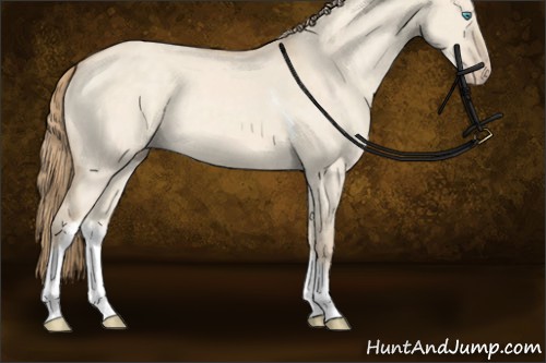 Horse Color:Perlino Dun Tobiano Rabicano 
