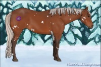 Horse Color:White Spotted Silver Bay 