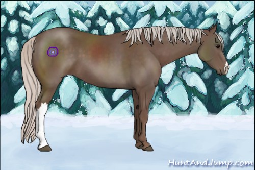 Horse Color:Silver Black 