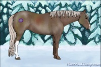 Horse Color:Silver Black 