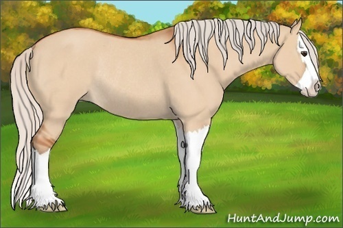 Horse Color:Silver Bay Roan Dun Splash Rabicano 