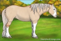 Horse Color:Silver Bay Roan Dun Splash Rabicano 