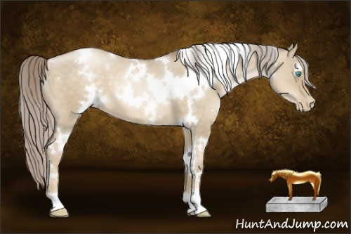 Horse Color:White Spotted Chocolate Palomino Pearl Dun 