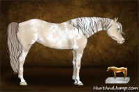 Horse Color:White Spotted Chocolate Palomino Pearl Dun 