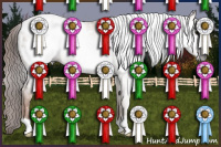 Horse Color:Gray Red Dun Appaloosa 