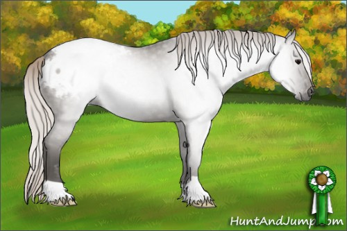Horse Color:Gray Silver Grullo Snowcap 