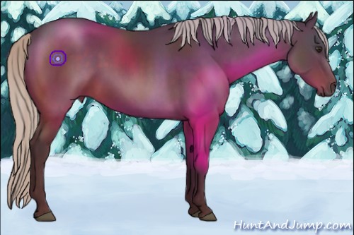 Horse Color:Silver Brown 