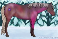 Horse Color:Silver Brown 