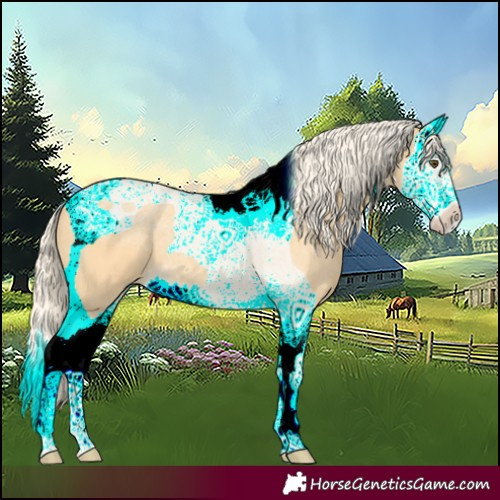 Horse Color:Palomino Dun Splash Tobiano