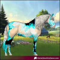 Horse Color:Palomino Dun Splash Tobiano