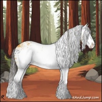 Horse Color:White Spotted Buckskin Splash 