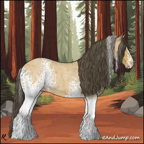 Horse Color:White Spotted Buckskin Roan 