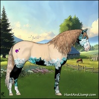 Horse Color:Watercolor Red Dun Splash 