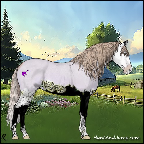 Horse Color:ERROR: UNKNOWN ANOMALY