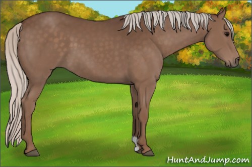 Horse Color:Silver Black 
