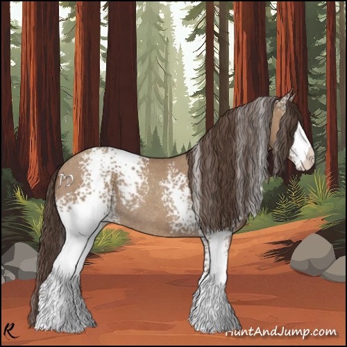 Horse Color:White Spotted Classic Champagne Rabicano 