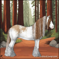 Horse Color:White Spotted Red Dun Splash 