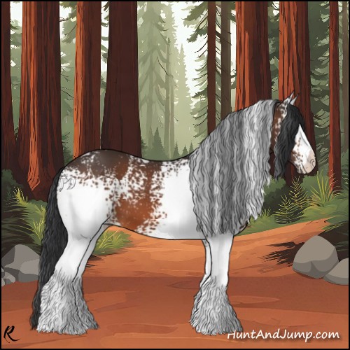 Horse Color:White Spotted Bay
