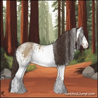Horse Color:White Spotted Classic Champagne 