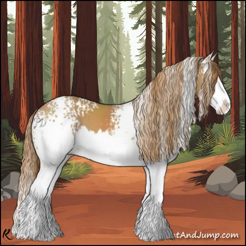 Horse Color:White Spotted Chestnut Splash 