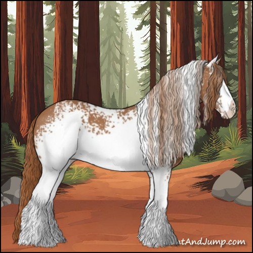 Horse Color:White Spotted Chestnut 