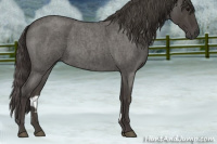 Horse Color:Smoky Blue Roan 