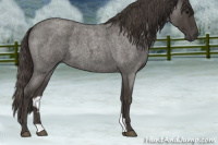 Horse Color:Smoky Blue Roan 
