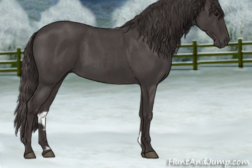 Horse Color:Smoky Blue Roan 