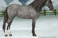 Horse Color:Smoky Blue Roan 