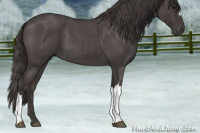 Horse Color:Smoky Blue Roan 