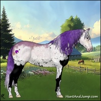 Horse Color:Watercolor Bay Splash Frame 