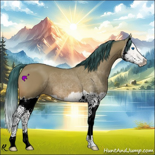 Horse Color:Watercolor Bay Splash
