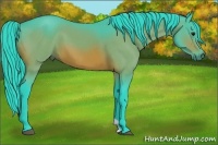 Horse Color:Watercolor Bay 